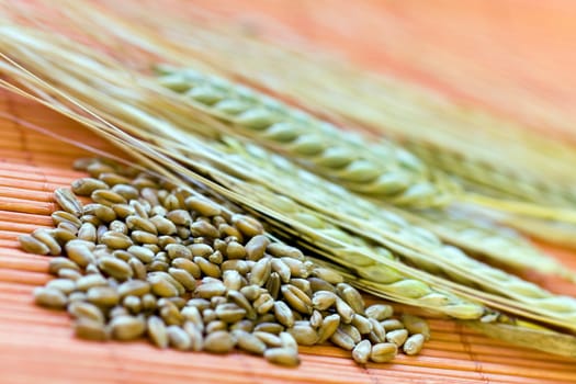 Cereal grain,wheat and ears of corn