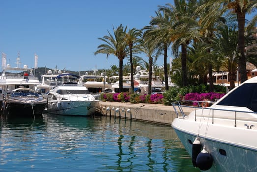 Marina in Mallorca