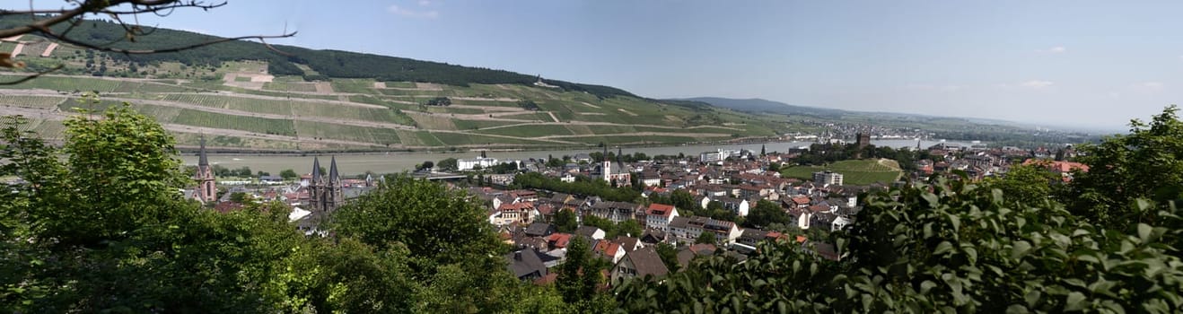 View from Bingen's Rochusberg to Bingen