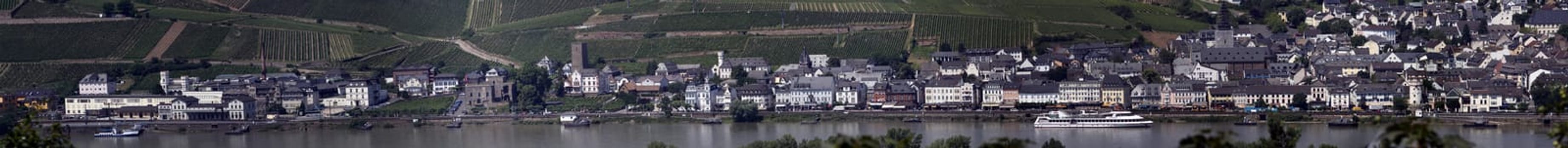 Panoramic view of Rüdesheim