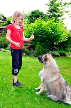 Child learns to sit dog