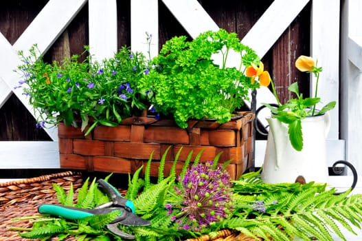 Herb Garden Bench