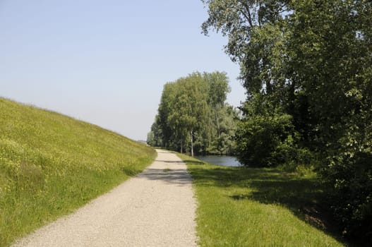 Path along the Rhine near Wittenweier