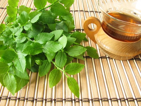 Herbal tea with blueberry leaves