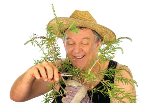 Pruning Gardener