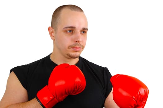 Boxer