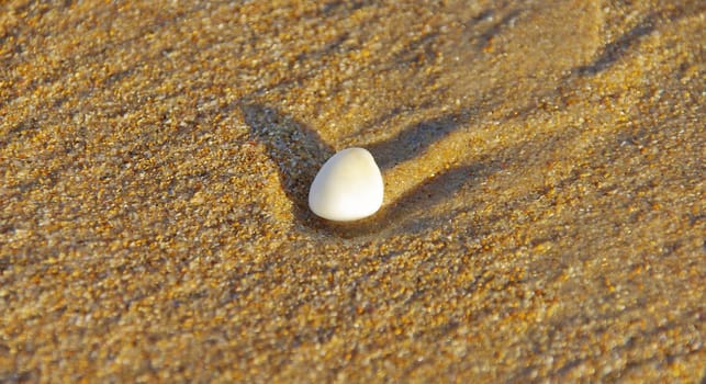 pebble