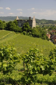 Ruin near Burkheim