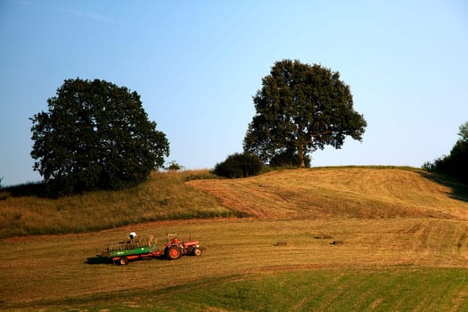 Haymaking