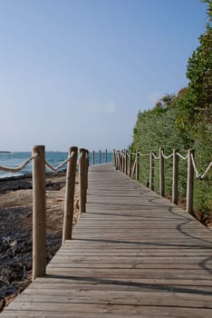 wood path