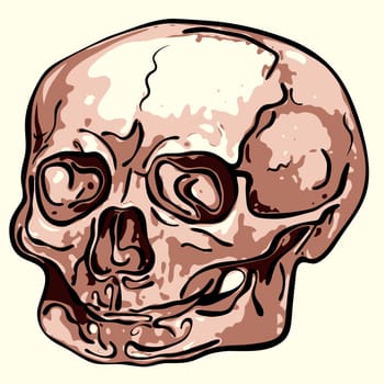 bizarre human skull