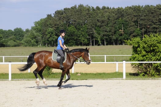 Gallop