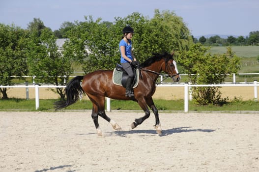 Gallop