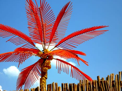 Palm tree
