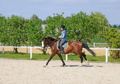 Gallop