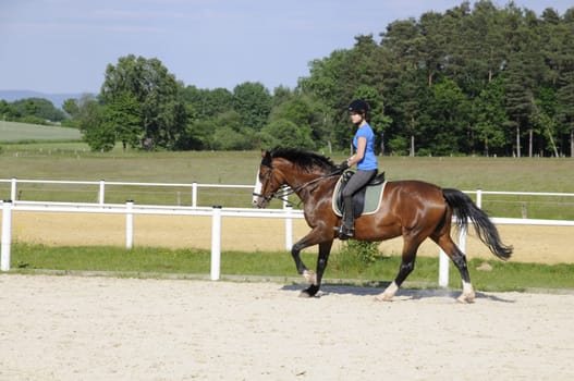Gallop