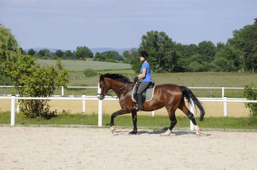 Gallop