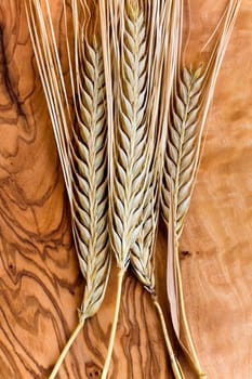 Cereal grain,wheat and ears of corn