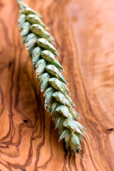 Barley and ears of corn