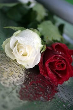 roses