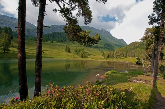 Mountain lake idyll