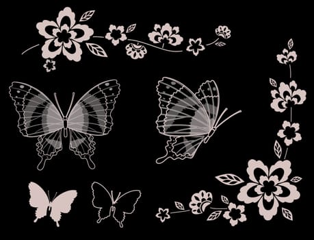 flower and butterfly