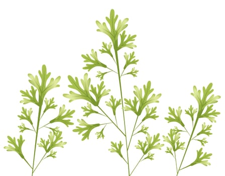 green leaves