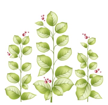 leaves