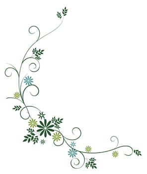 wild flower and vines