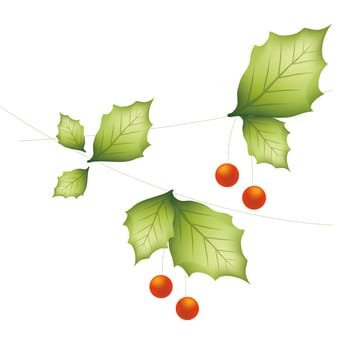 red cherry with leaves