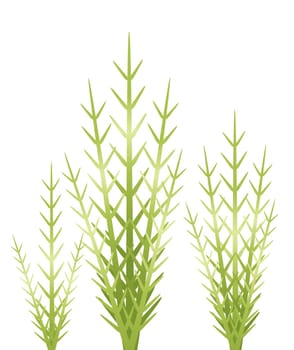 grass