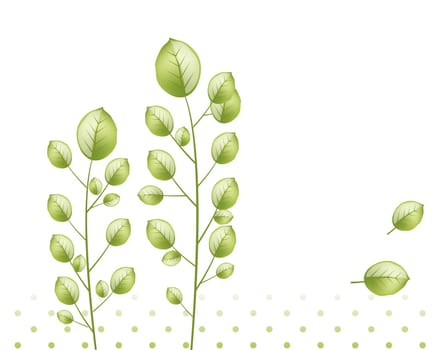 green leaves