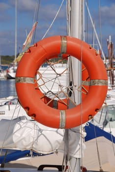 Swimming ring