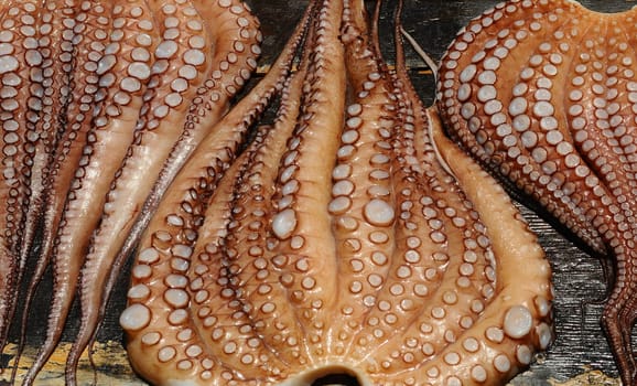 Squid Calamares
