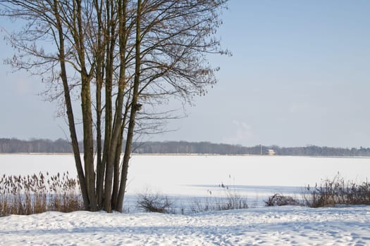 Frozen Havel