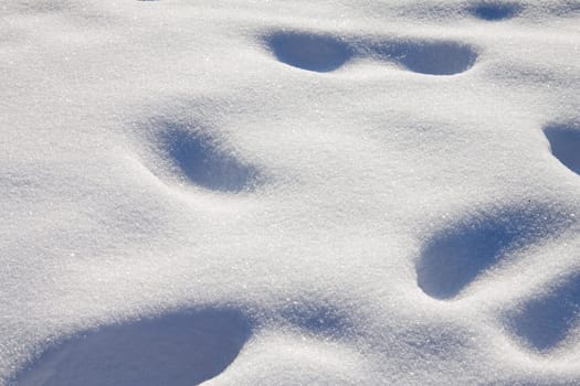 Snowy tracks