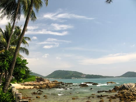 Palm beach