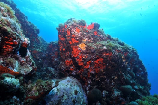 In the Mediterranean
