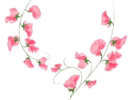 pink flower