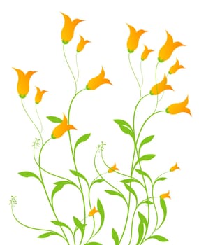 orange flower