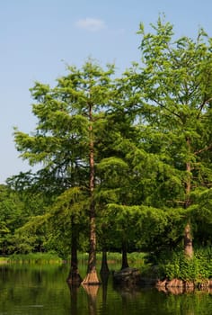 Nature Park in Munich