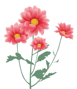 daisy flower