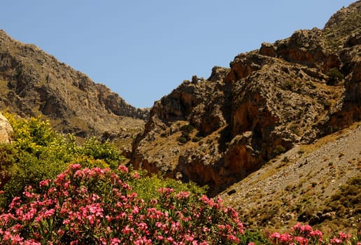 Kourtaliotiko Gorge in Crete