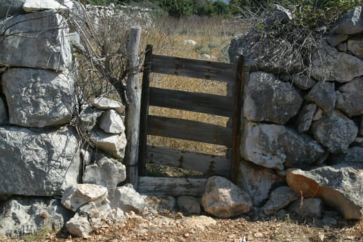 Wooden door. vintage gate