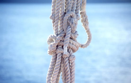 Close up of white rope
