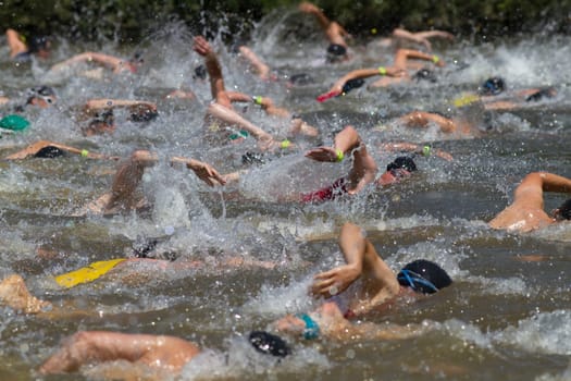 Swimming competition