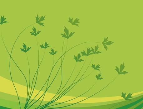 leaves