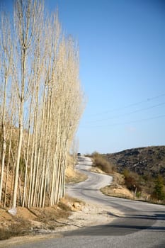 road background