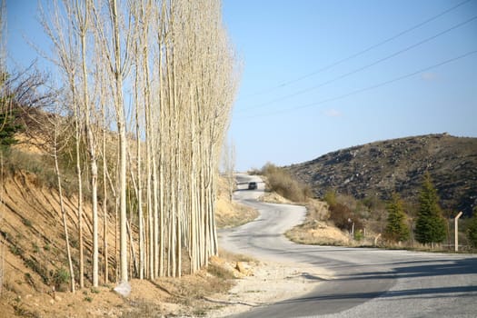 road background