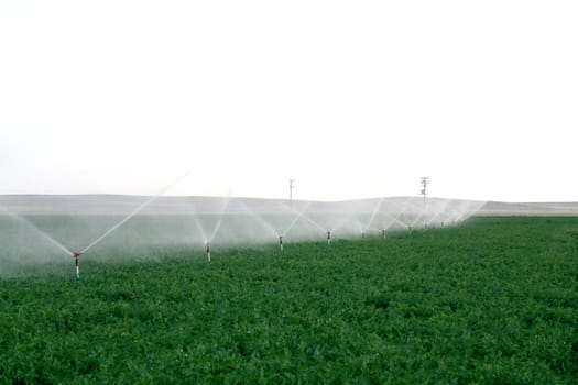 Irrigation sprinklers water a farm field against late afternoon